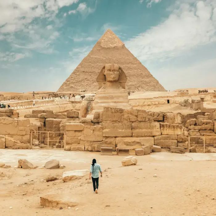Activities & Tours