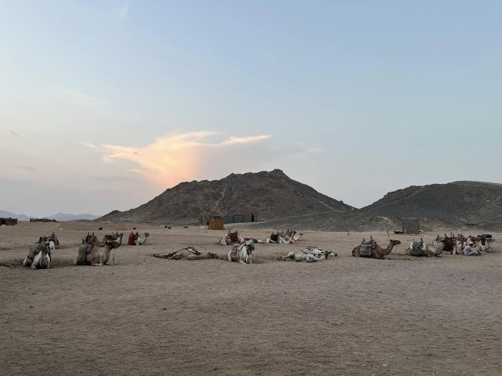 Super Safari Adventure – Hurghada